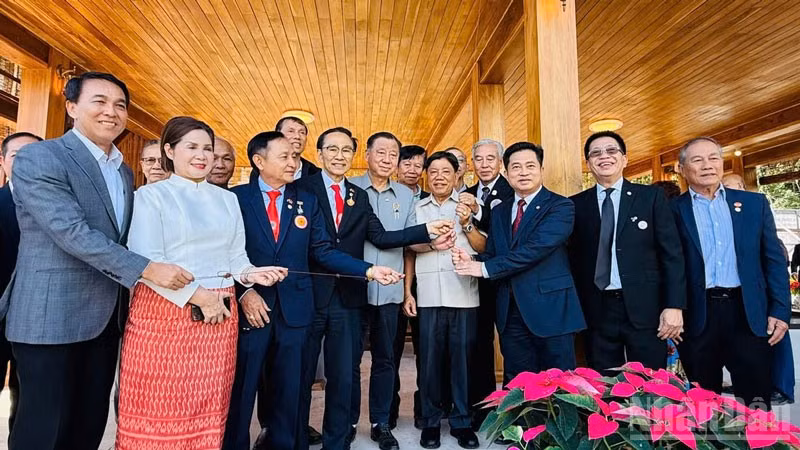 ndo_br_anh-5.jpg