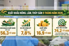 [Video] Phó Thủ tướng: Không để sản xuất nông sản xong mới đi tìm thị trường