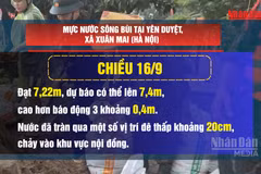 [Video] Quân và dân Hà Nội đội mưa gia cố đê, ứng phó lũ sông Bùi