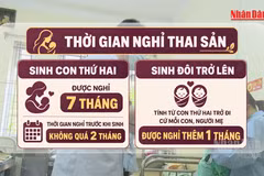 [Video] Sinh con thứ hai đồng thời sinh đôi được nghỉ thai sản 8 tháng