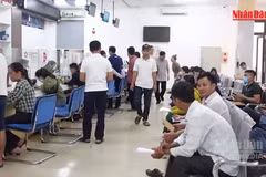 [Video] Không để hồ sơ qua môi giới được ưu tiên khi làm thủ tục về đất đai