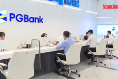 [Video] Chính phủ yêu cầu chấm dứt cho vay tập trung vào doanh nghiệp “sân sau”