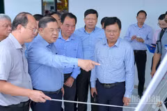 Phó Thủ tướng Thường trực Chính phủ Phạm Gia Túc khảo sát bình đồ tuyến kết nối cao tốc với Khu kinh tế Năm Căn của tỉnh Cà Mau. (Ảnh: HỮU TÙNG)