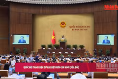 [Video] Quốc hội thảo luận dự án Luật Nuôi con nuôi (sửa đổi)