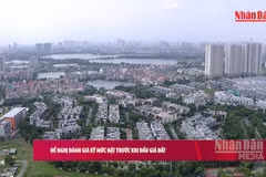 [Video] Đề nghị đánh giá kỹ mức đặt trước khi đấu giá đất