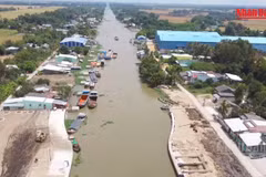 [Video] Đồng Tháp kích hoạt kịch bản ứng phó hạn mặn, dự báo khốc liệt như mùa khô 2019 - 2020