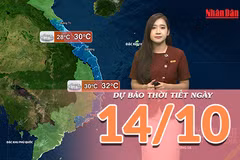 [Video] Dự báo thời tiết ngày 14/10/2026: Bắc Bộ có nắng, Trung Bộ mưa giảm, Nam Bộ chiều tối có dông 
