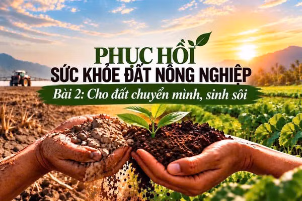 Bài 2: Cho đất chuyển mình, sinh sôi