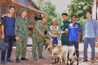 Tiến hành hỗ trợ cây, con giống cho nhân dân các xã trong vùng dự án phát triển kinh tế, xóa đói giảm nghèo.
