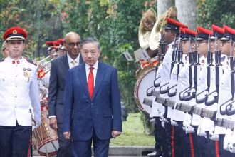  Tổng Bí thư, Chủ tịch nước Tô Lâm và Tổng thống Singapore Tharman Shanmugaratnam duyệt Đội danh dự. (Ảnh: Thống Nhất/TTXVN) 