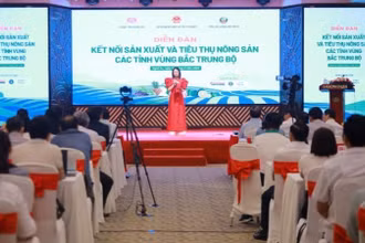Quang cảnh diễn đàn.
