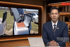 [Video] Tiêu điểm 19/10: Vì sao Mỹ nối lại nhập khẩu phân bón Belarus?