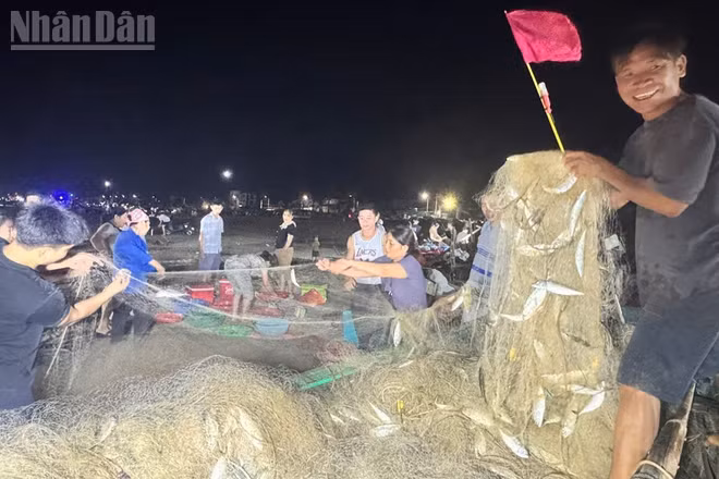 Theo chia sẻ của các ngư dân, nhờ trúng luồng cá nên chỉ sau 5 giờ đi biển, bình quân mỗi thuyền thu về gần 2 tạ cá bạc má. 