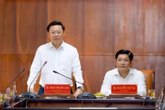 Phó Trưởng ban Thường trực Ban Tuyên giáo Trung ương Trần Thanh Lâm phát biểu chỉ đạo tại buổi làm việc. (Ảnh: Đ.Quang)