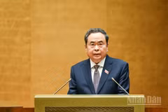Gallery - Trần Thanh Mẫn - image 19