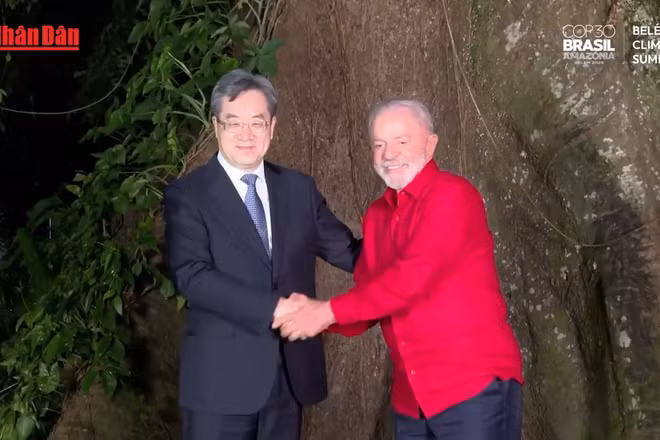 [Video] Trung Quốc kêu gọi dỡ rào cản thương mại để thúc đẩy chuyển đổi xanh toàn cầu 