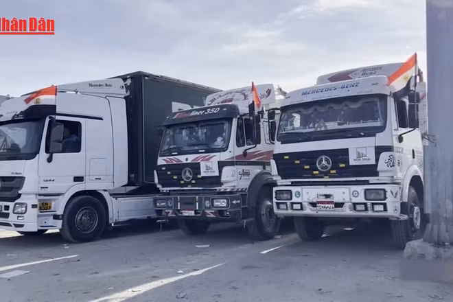 [Video] Ai Cập không để người Palestine bị di dời qua cửa khẩu Rafah