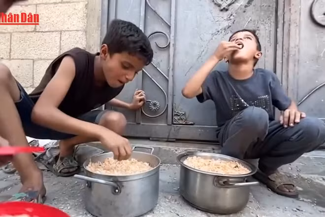 [Video] Dải Gaza tạm thời thoát tình trạng nạn đói 