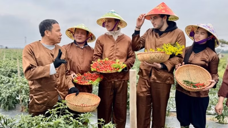 Khách du lịch tham gia hoạt động trải nghiệm nông nghiệp tại Đa Phúc.