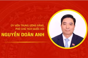 [Infographic] Tiểu sử Phó Chủ tịch Quốc hội Nguyễn Doãn Anh