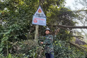 Người dân Hà Tĩnh luôn chủ động, cảnh giác trước nguy cơ cháy rừng.
