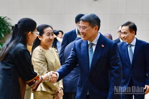 Thủ tướng Chính phủ Lê Minh Hưng chào mừng Đại sứ, Đại biện các nước ASEAN. (Ảnh: THANH GIANG)