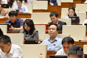 Quốc hội làm việc tại hội trường. (Ảnh: THỦY NGUYÊN)