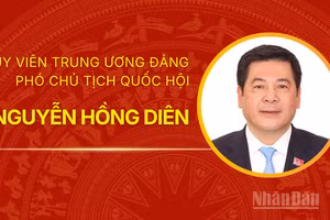 [Infographic] Tiểu sử Phó Chủ tịch Quốc hội Nguyễn Hồng Diên