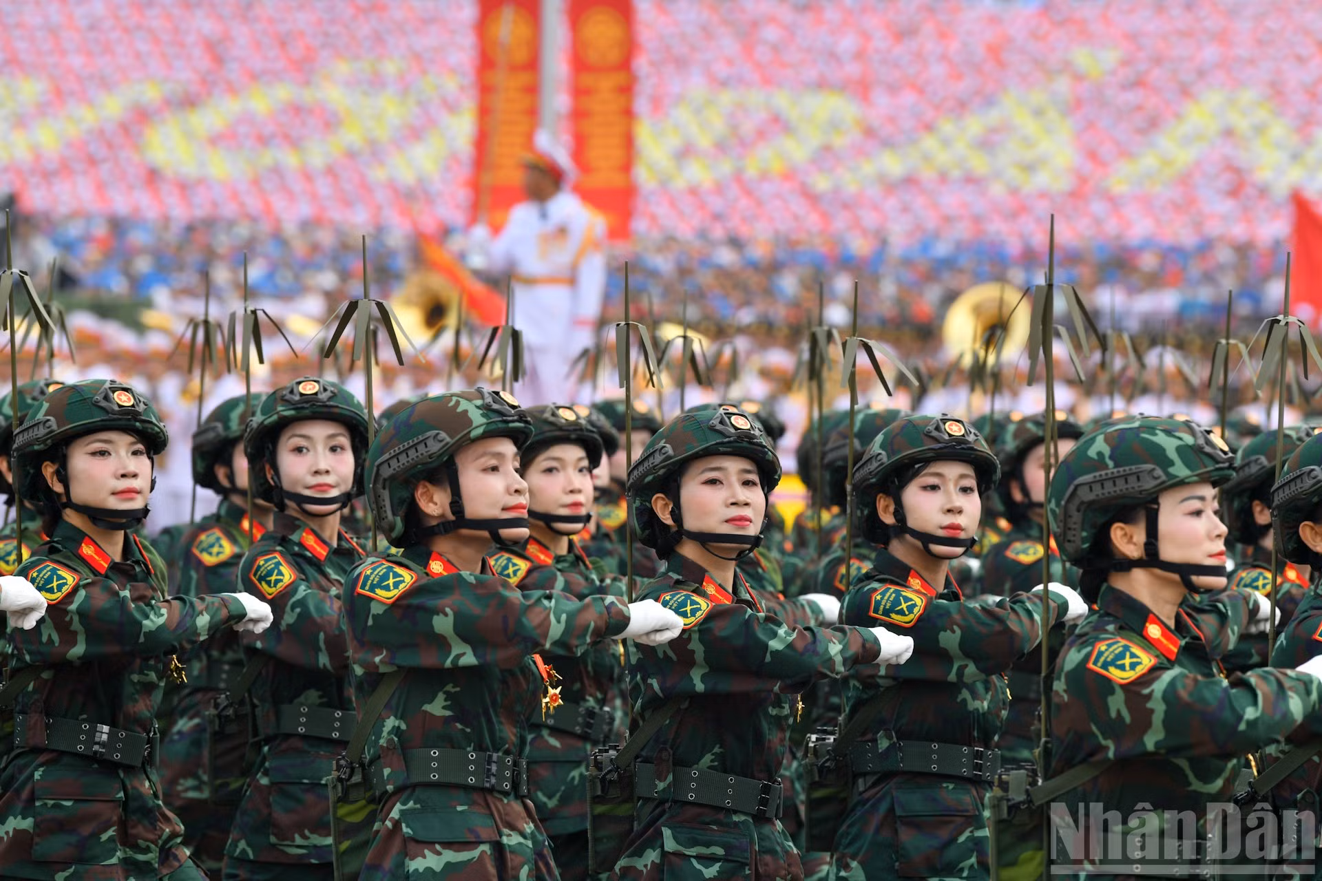 ndo_br_quan-doi-a80-24.jpg