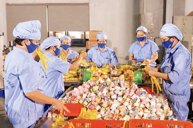 Công nhân Nhà máy Vietfoods (Khu công nghiệp Hapro, Hà Nội) trong xưởng sản xuất.
