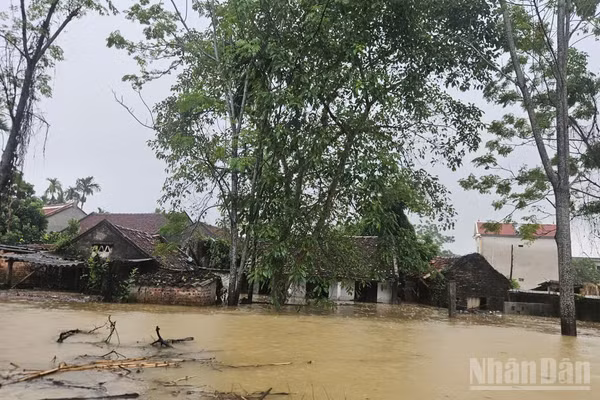 Nước sông Bùi dâng cao ngày 17/9, sau những ngày mưa lớn, xã Quảng Bị (Hà Nội) hàng trăm hộ dân phải sơ tán tới nơi an toàn.