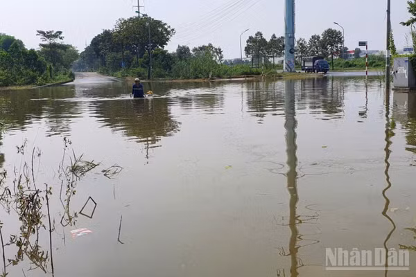 Nước tại khu vực ngập sâu nhất của đoạn đường gom Đại lộ Thăng Long qua xã Hữu Bằng lên tới 1m. Trong ảnh nước ngập tới bụng của người mở dịch vụ hỗ trợ kéo xe qua khu vực ngập nước, trong khi 1 chiếc ô-tô tải nhỏ bất lực quay đầu.