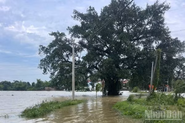 Nước sông Cầu, sông Bùi, sông Tích dâng cao gây ngập nhiều khu vực ngoại thành, nhiều khu vực xã Trung Giã (Hà Nội) rơi vào thế cô lập, các phương tiện không thể lưu thông. (Ảnh: Trung Nguyên)
