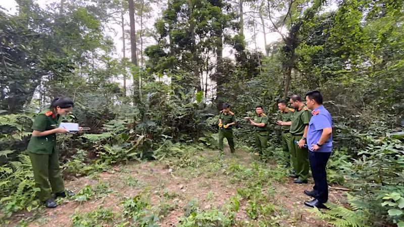 Khám nghiệm hiện trường vụ việc.