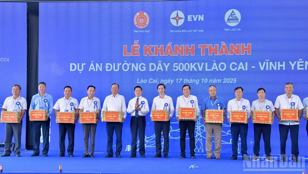 ndo_br_anh-2.jpg