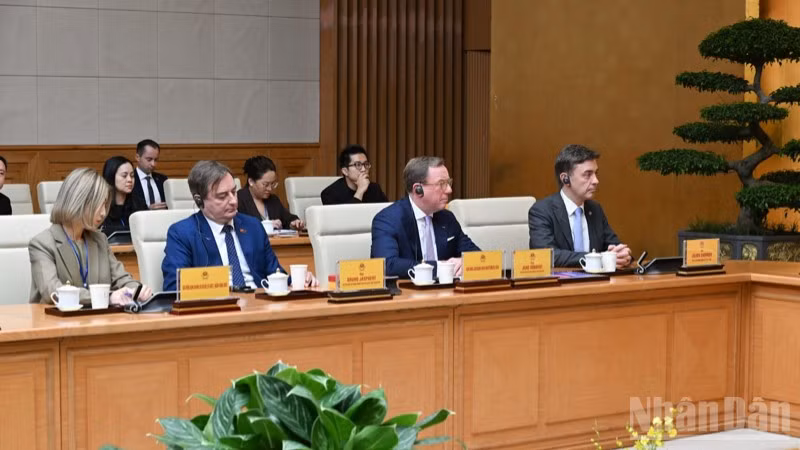 ndo_br_q5-9484.jpg