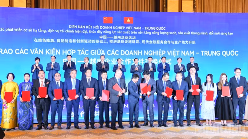 ndo_br_anh-3-5302.jpg