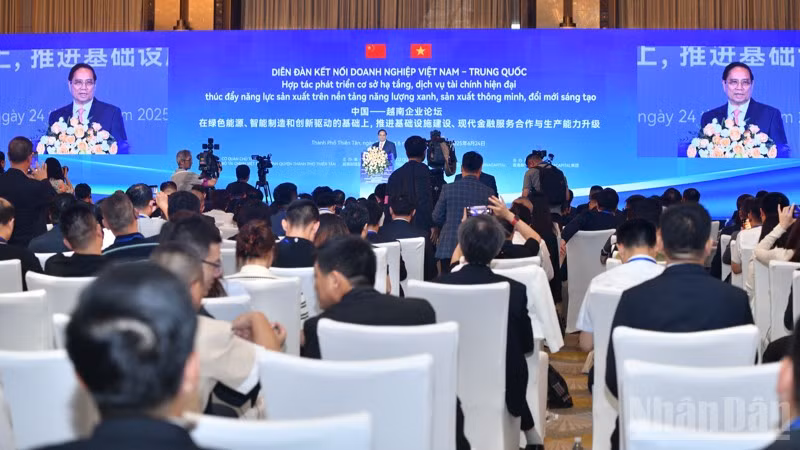 ndo_br_anh-4-9549.jpg