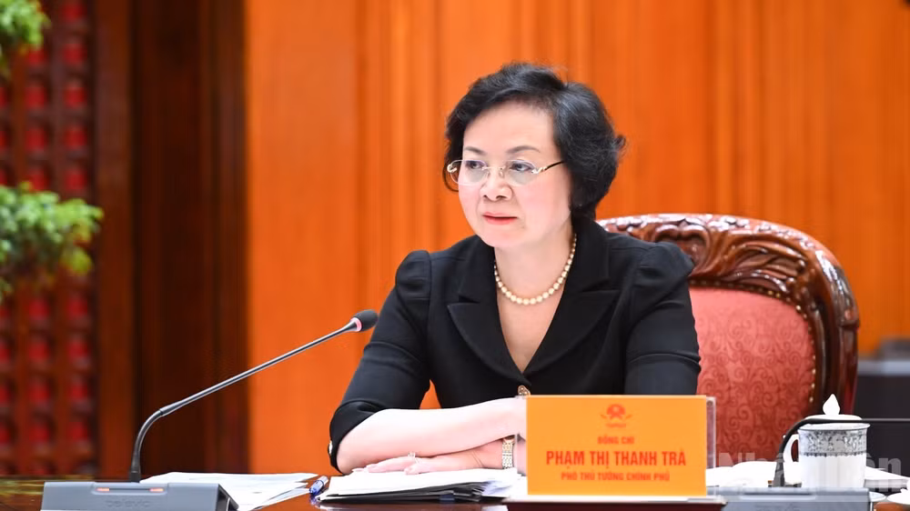 Phó Thủ tướng Phạm Thị Thanh Trà phát biểu ý kiến tại cuộc làm việc. (Ảnh: Trần Hải)
