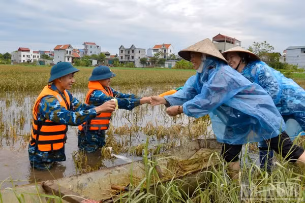Các địa phương ven biển chủ động ứng phó với bão số 4 mạnh cấp 8.