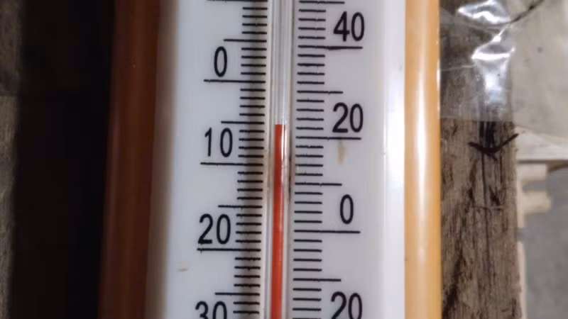 nn-3-1402.jpg