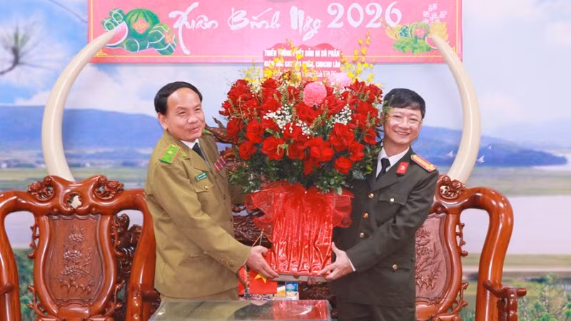 333-824.jpg