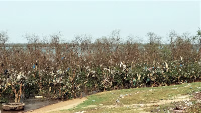 rac-buc-tu-rung-bannghe-anhoang-lam-16-edited-1775665570691-4532.png