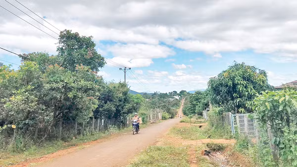 Những “vùng đệm xanh” yên bình của cây trái, vườn tược khu vực biên giới.