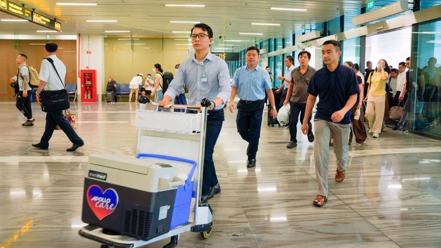 tim-hien-duoc-van-chuyen-khan-truong-tu-san-bay-noi-bai-ve-thanh-pho-ho-chi-minh-1047.jpg