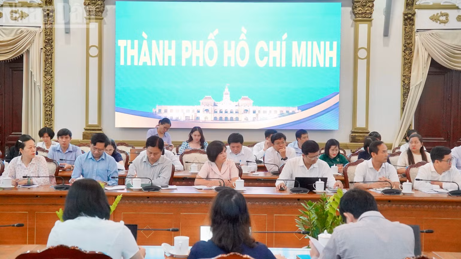 ndo_tl_dsc05461-2.jpg
