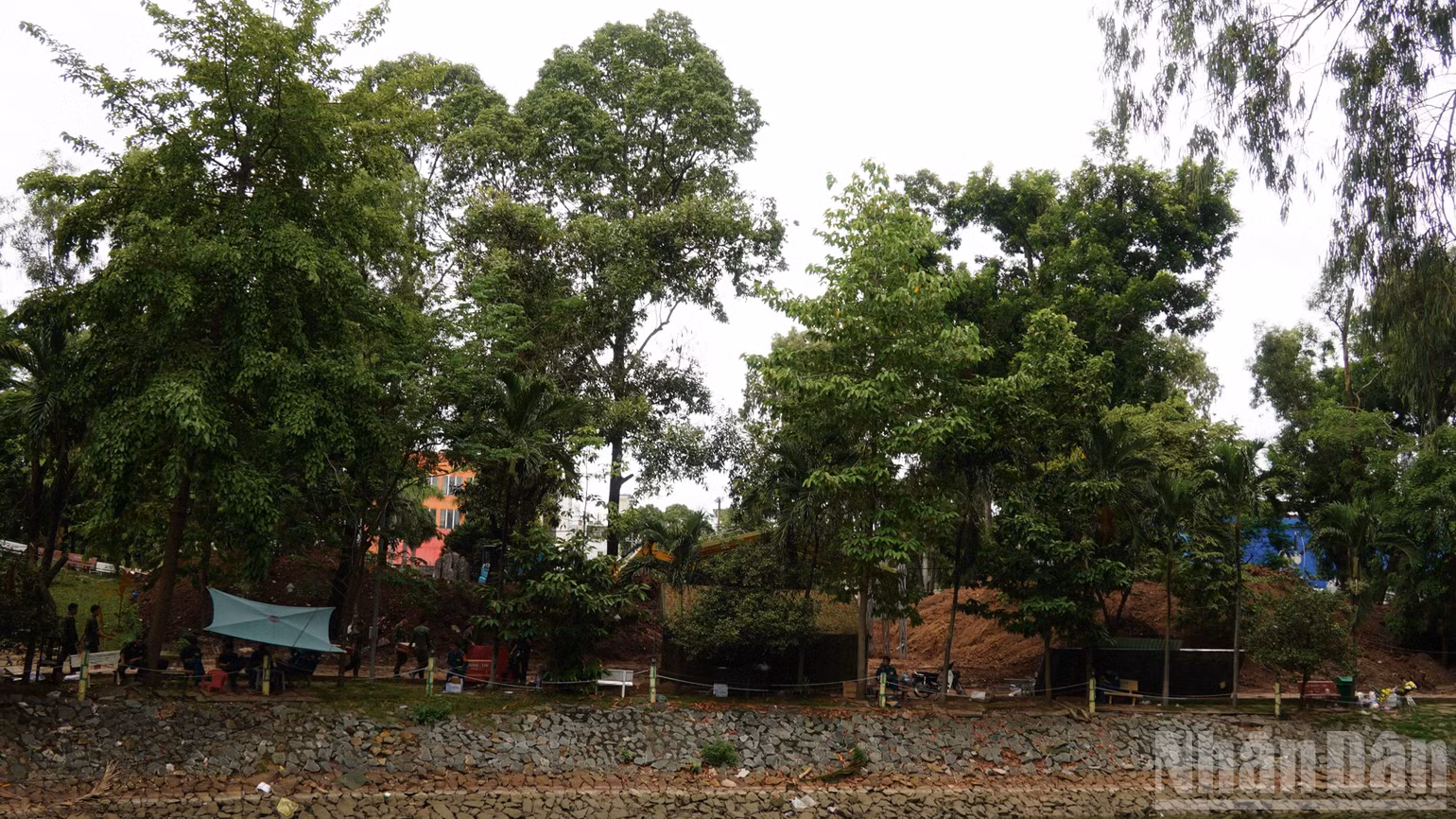 ndo_br_dsc06537.jpg