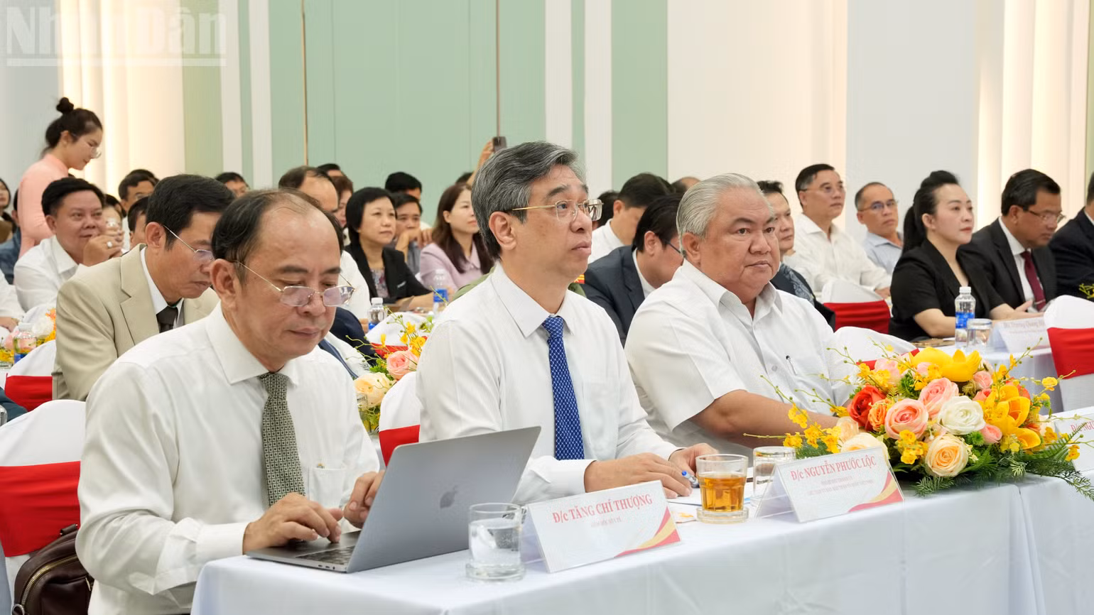 ndo_tl_dsc08252.jpg
