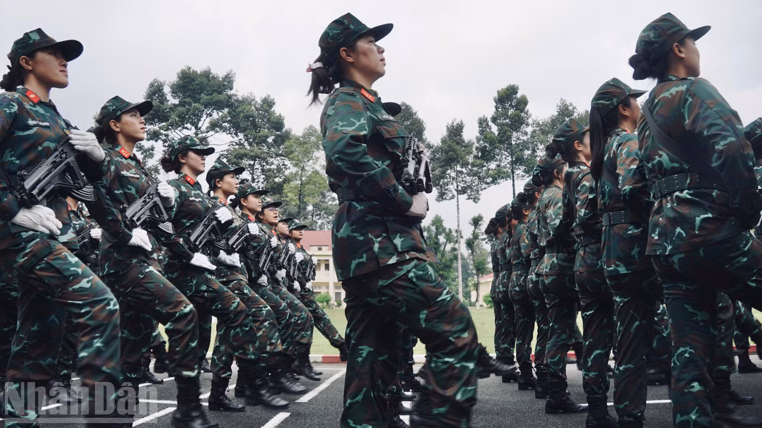 ndo_bl_dsc08117-2.jpg