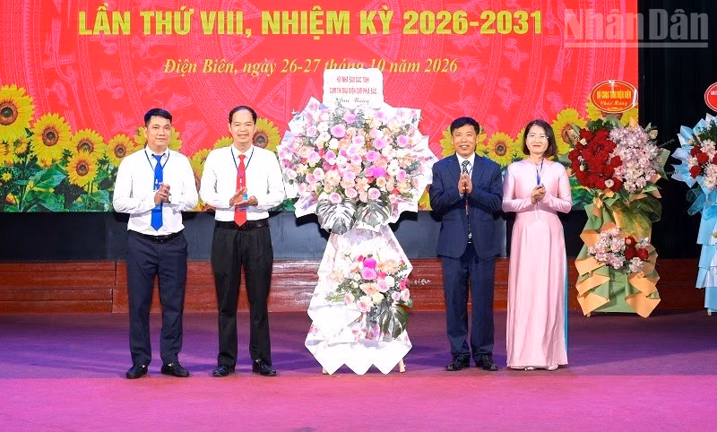 ndo_tr_zap-3761-copy.jpg